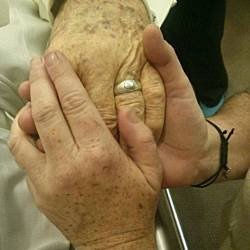 Vertical image of daughter holding aging hand of father on his death bed.
